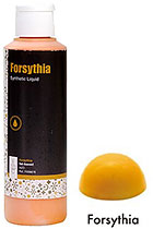 IBC�E�`���R���[�g�F�f