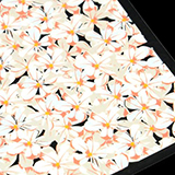 PCB�@�A�E�t���[���E�h�E�| 