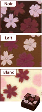 ������iIBC�j