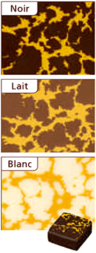 ���U�[�iIBC�j